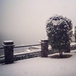 Lo spettacolo della neve a Verbania: si imbianca il Lago Maggiore [FOTO]