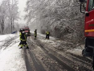 alberi neve vigili del fuoco