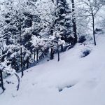 Tanta neve sull’Appennino Tosco-Emiliano: le FOTO da Monte Modino
