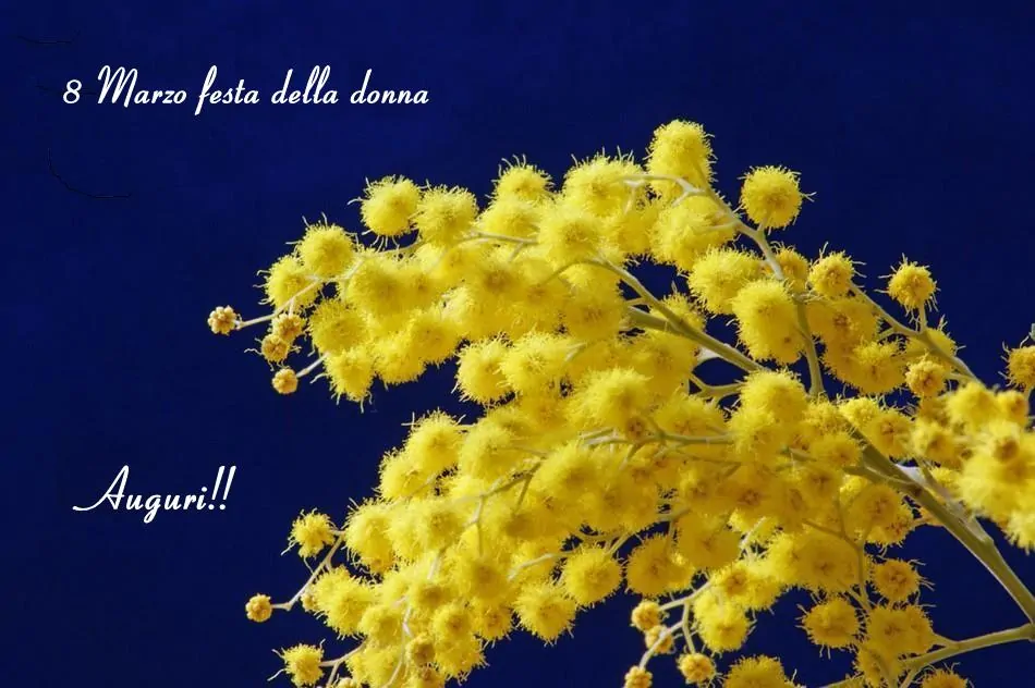 Buongiorno, Buona Festa della Donna! Immagini e frasi per auguri