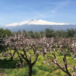 Etna, spettacolo straordinario nel giorno dell’Equinozio di Primavera [FOTO]