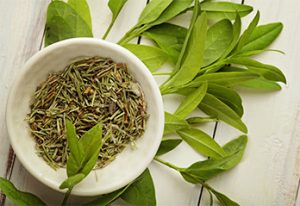 material diversity_green tea