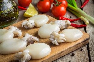 molluschi