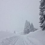 Lo spettacolo di Cortina d’Ampezzo avvolta nella neve [FOTO]