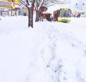 neve mosca15