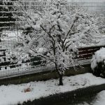 Fiocchi di neve su Torino [FOTO]