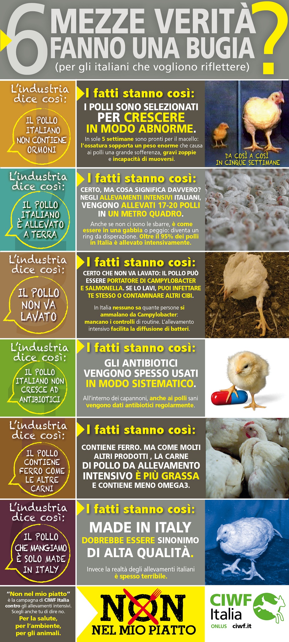sei verità ok