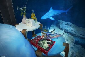 stanza sott'acqua con gli squali (3)