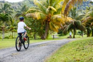 4242_web_7_Hawaii