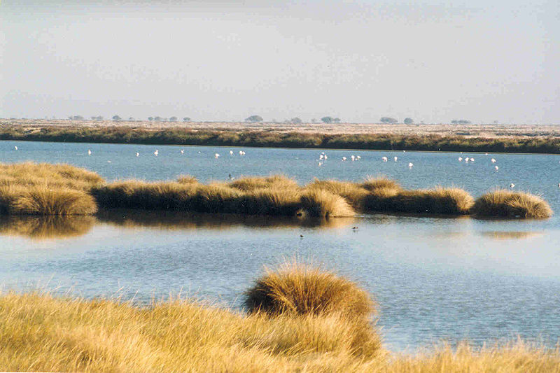 donana