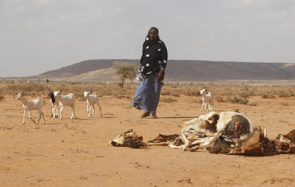 El Nino, allarme siccità in Somalia (12)