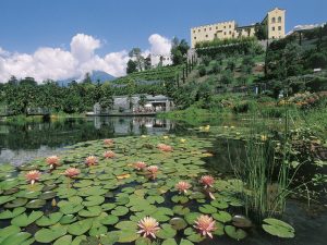 GIARDINI TRAUTT 2