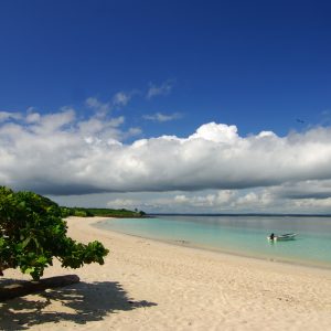 Isla Iguana