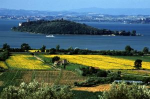 LAGO TRASIMENO 2
