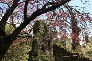 Ninfa 079