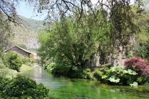 Ninfa 096