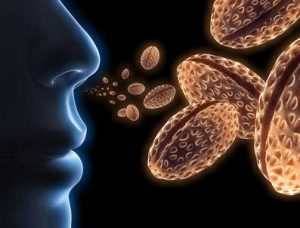 RINITE ALLERGICA 1