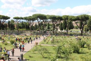 Roseto di Roma