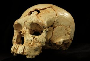 atapuerca_uomini