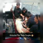 Terremoto Ecuador: morto Dayko, il cane eroe che ha salvato decine di vite umane [FOTO]
