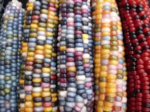 glass gem corns 1