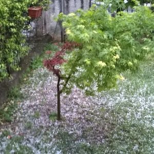 grandine brescia3