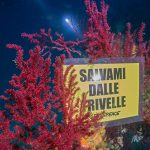 Referendum Trivelle: Greenpeace si immerge nelle acque italiane per il Si