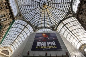 greenpeace trivelle (6)