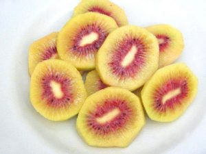 kiwi rosso