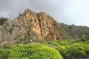 monte carmelo