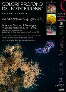 mostra_ispra