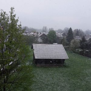 neve oggi