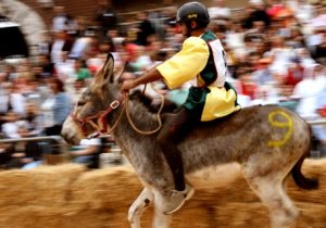palio degli asini
