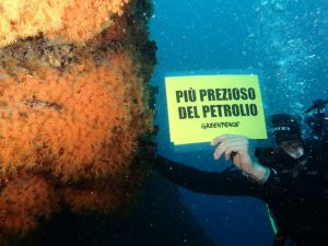 referendum trivelle1