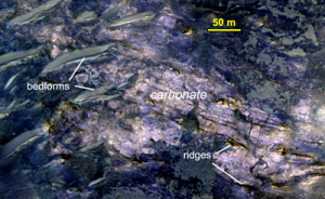 carbonati marte