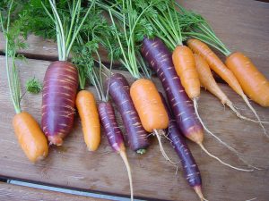 carote viola e orange