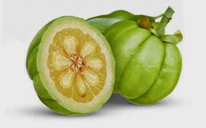 garcinia cambogia