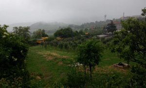 molise