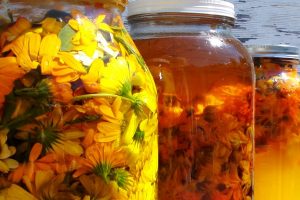 oleolito-calendula-600x400