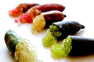 caviale vegetale