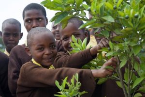 viaggio solidale tanzania (1)