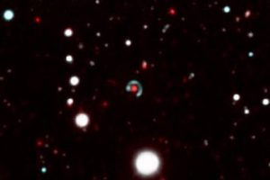canarie anello einstein