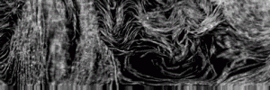dettaglio_2
