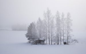 finland-203974_960_720