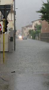 pisa 01
