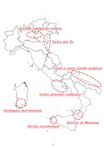 tabella black-spot (1)