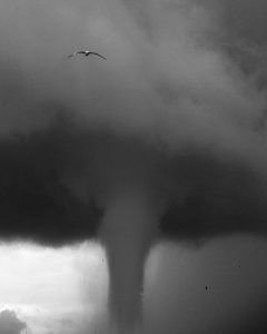 tornado sottomarina chioggia 4 giugno 2016 (5)