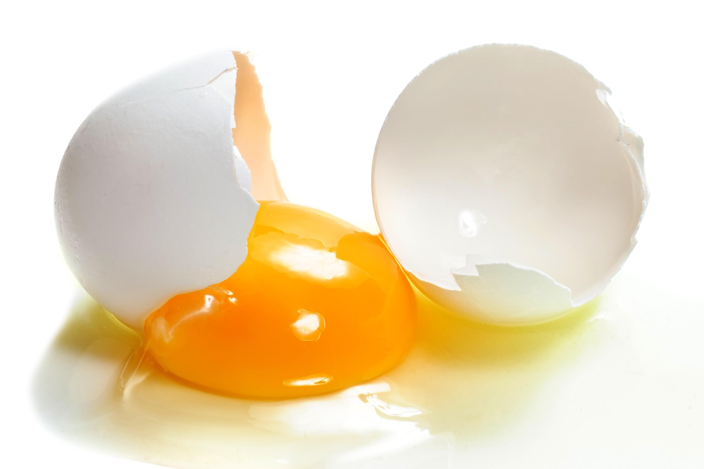 Желток прилагательное. Яичный желток. Белок и желток. Белок и желток в яйце. Разбитое яйцо.