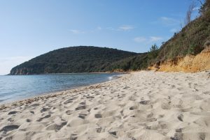CALA VIOLINA 3