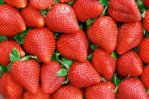 FRAGOLE LUGLIO 2
